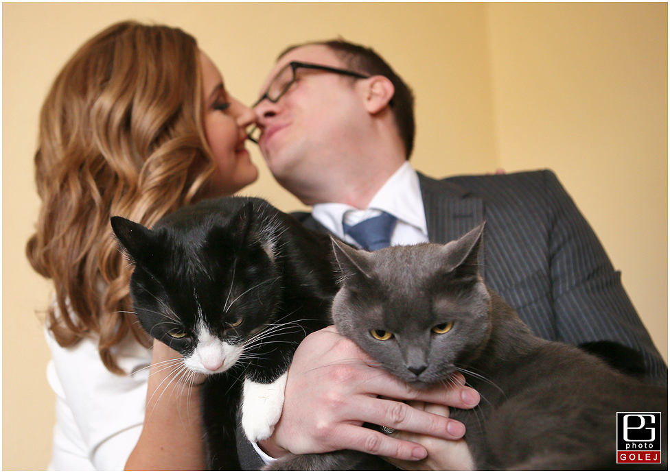 Mačky a naša svadba